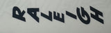 Raleigh Tomahawk decal set