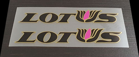 Lotus Downtube decals