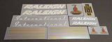Raleigh Decal sets