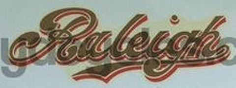 RALEIGH gold script with red shading